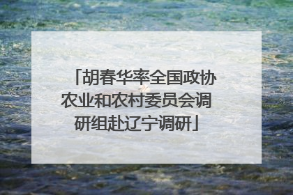 胡春华率全国政协农业和农村委员会调研组赴辽宁调研
