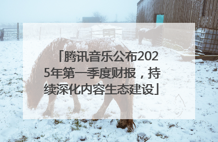 腾讯音乐公布2025年第一季度财报，持续深化内容生态建设