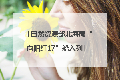 自然资源部北海局“向阳红17”船入列