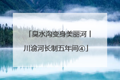臭水沟变身美丽河丨川渝河长制五年间④