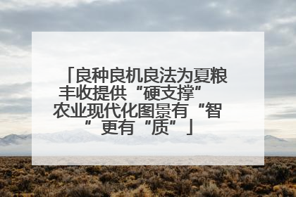 良种良机良法为夏粮丰收提供“硬支撑” 农业现代化图景有“智”更有“质”