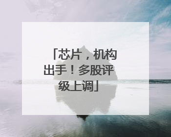 芯片，机构出手！多股评级上调