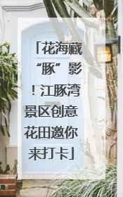 花海藏“豚”影！江豚湾景区创意花田邀你来打卡