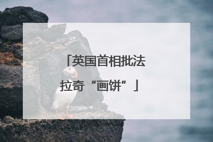 英国首相批法拉奇“画饼”