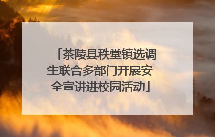 茶陵县秩堂镇选调生联合多部门开展安全宣讲进校园活动