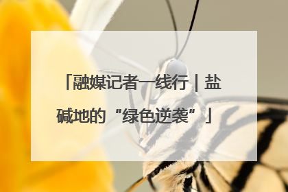 融媒记者一线行｜盐碱地的“绿色逆袭”