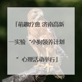 萌趣疗愈 济南高新一实验“小狗领养计划”心理活动举行