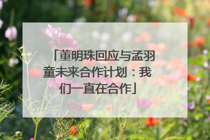董明珠回应与孟羽童未来合作计划：我们一直在合作