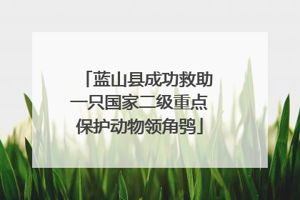 蓝山县成功救助一只国家二级重点保护动物领角鸮
