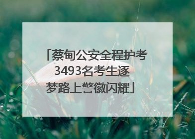 蔡甸公安全程护考 3493名考生逐梦路上警徽闪耀
