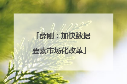 薛刚：加快数据要素市场化改革