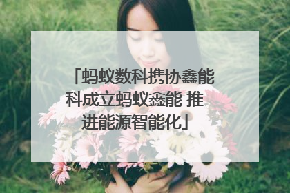 蚂蚁数科携协鑫能科成立蚂蚁鑫能 推进能源智能化