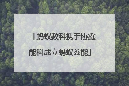 蚂蚁数科携手协鑫能科成立蚂蚁鑫能