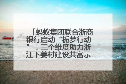 蚂蚁集团联合浙商银行启动“栀梦行动”，三个维度助力浙江下姜村建设共富示范区示范点
