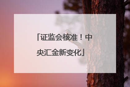 证监会核准！中央汇金新变化