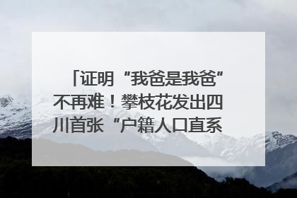 证明“我爸是我爸”不再难！攀枝花发出四川首张“户籍人口直系亲属关系谱”