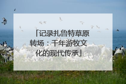 记录扎鲁特草原转场：千年游牧文化的现代传承