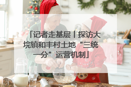 记者走基层丨探访大垸镇和丰村土地“三统一分”运营机制