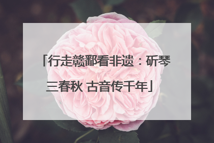 行走赣鄱看非遗：斫琴三春秋 古音传千年