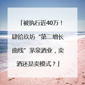 被执行近40万！肆拾玖坊“第二增长曲线”茅泉酒业，卖酒还是卖模式？