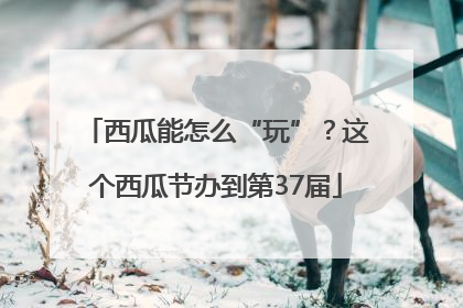 西瓜能怎么“玩”？这个西瓜节办到第37届