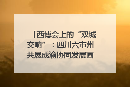 西博会上的“双城交响”：四川六市州共展成渝协同发展画卷｜西博视界