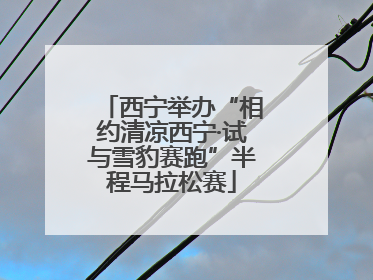 西宁举办“相约清凉西宁·试与雪豹赛跑”半程马拉松赛
