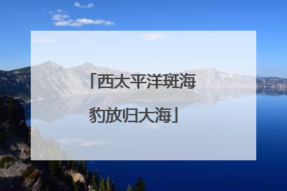 西太平洋斑海豹放归大海