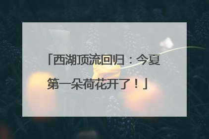 西湖顶流回归：今夏第一朵荷花开了！