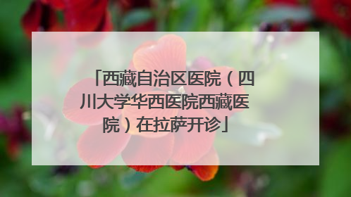 西藏自治区医院（四川大学华西医院西藏医院）在拉萨开诊