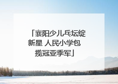 襄阳少儿乓坛绽新星 人民小学包揽冠亚季军