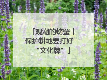 观潮的螃蟹丨保护耕地要打好“文化牌”
