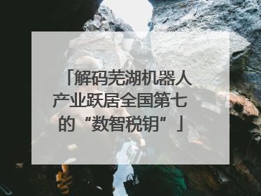 解码芜湖机器人产业跃居全国第七的“数智税钥”