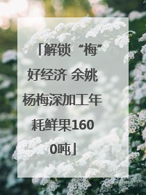 解锁“梅”好经济 余姚杨梅深加工年耗鲜果1600吨