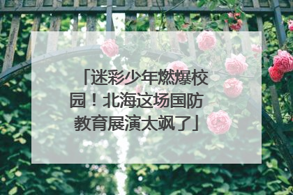 迷彩少年燃爆校园！北海这场国防教育展演太飒了