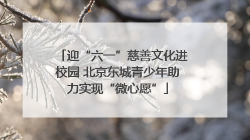 迎“六一”慈善文化进校园 北京东城青少年助力实现“微心愿”