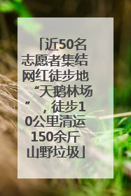 近50名志愿者集结网红徒步地“天鹅林场”，徒步10公里清运150余斤山野垃圾