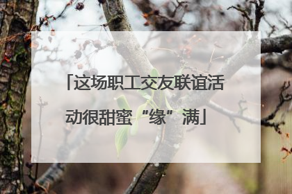 这场职工交友联谊活动很甜蜜“缘”满
