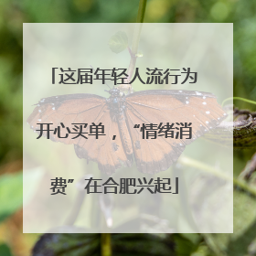 这届年轻人流行为开心买单，“情绪消费”在合肥兴起