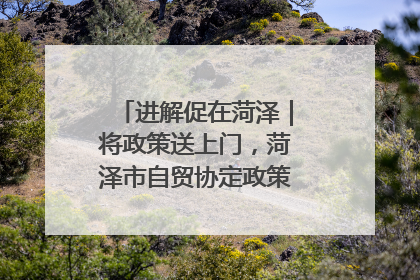 进解促在菏泽｜将政策送上门，菏泽市自贸协定政策专题宣讲会召开