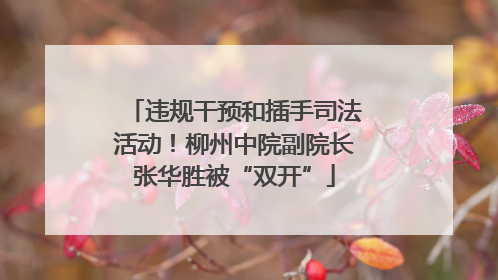违规干预和插手司法活动！柳州中院副院长张华胜被“双开”