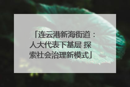 连云港新海街道：人大代表下基层 探索社会治理新模式