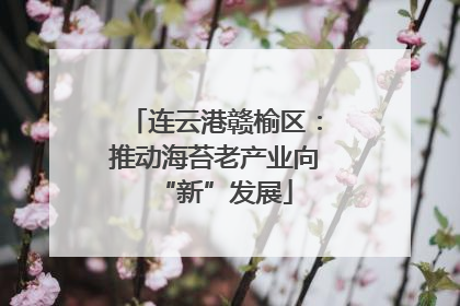 连云港赣榆区：推动海苔老产业向“新”发展