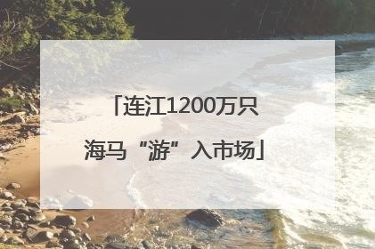 连江1200万只海马“游”入市场