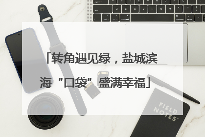 转角遇见绿，盐城滨海“口袋”盛满幸福