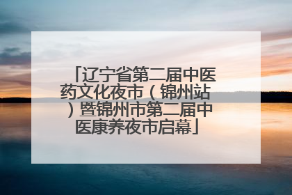 辽宁省第二届中医药文化夜市（锦州站）暨锦州市第二届中医康养夜市启幕