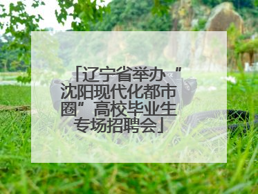 辽宁省举办“沈阳现代化都市圈”高校毕业生专场招聘会