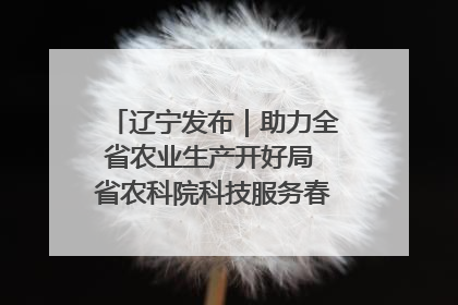辽宁发布｜助力全省农业生产开好局 省农科院科技服务春耕备耕成效显著