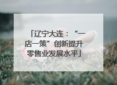 辽宁大连：“一店一策”创新提升零售业发展水平
