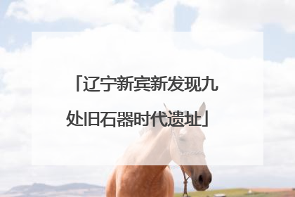 辽宁新宾新发现九处旧石器时代遗址